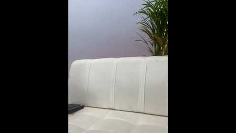 elirpo @ stripchat on 20260214