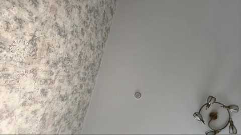 violafaa @ stripchat on 20260214