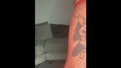 arabellajames @ stripchat on 20260215