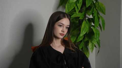 elzatuccillo @ stripchat on 20260216