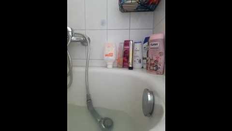 isa363636 @ stripchat on 20260216