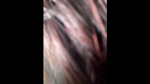 eveangelll @ stripchat on 20260217