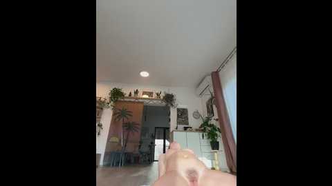 julielittlelove @ stripchat on 20260217