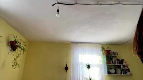 mayclarkyy @ stripchat on 20260217