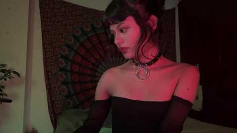 miamhua_cat_ @ stripchat on 20260217