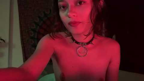 miamhua_cat_ @ stripchat on 20260217