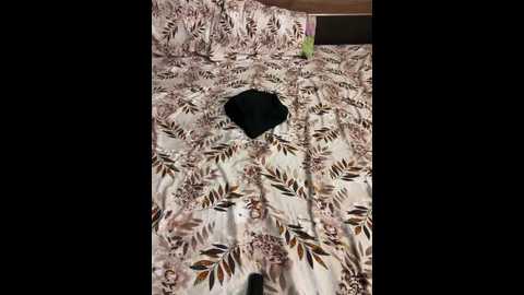 raghavdesi @ stripchat on 20260217