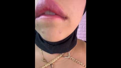 zahra_jalid @ stripchat on 20260217