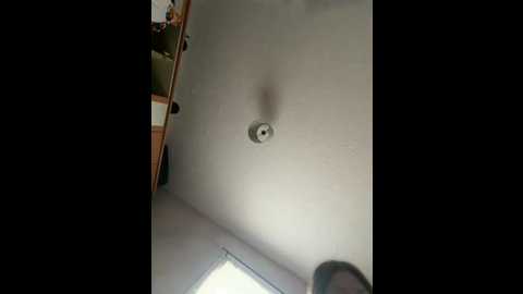 paige_love @ stripchat on 20260218