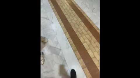 alyssafoxx_ @ stripchat on 20260219