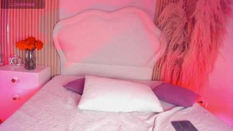 fer_hotter @ stripchat on 20260219