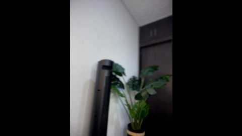 goodgirlgonebadxxx @ stripchat on 20260219