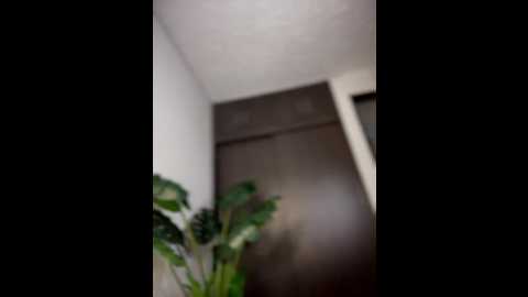 goodgirlgonebadxxx @ stripchat on 20260219