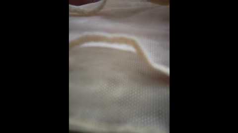 izabella_bella @ stripchat on 20260219