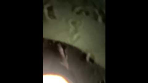 joel852 @ stripchat on 20260219