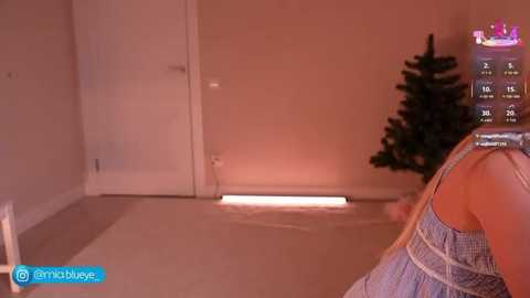 miablueye @ stripchat on 20260219