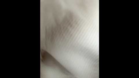 newlale @ stripchat on 20260219