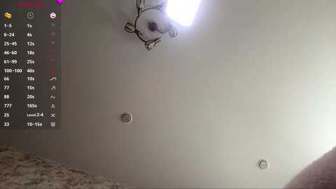 violafaa @ stripchat on 20260219