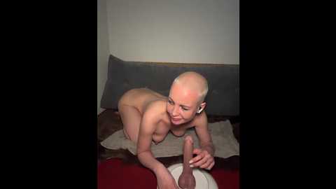 blueskynicci @ stripchat on 20260220