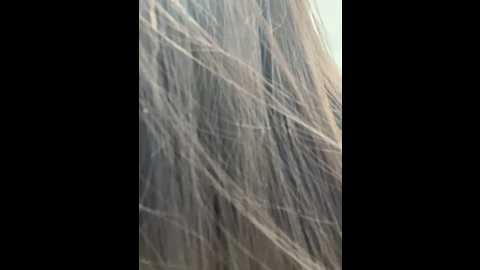 carlin_yiyi @ stripchat on 20260220