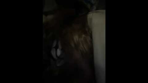 isabella21_ @ stripchat on 20260220