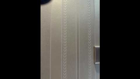 rabbit_15 @ stripchat on 20260220