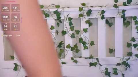 vivid_girls_vg @ stripchat on 20260220