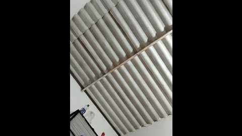 young_dairy01 @ stripchat on 20260220