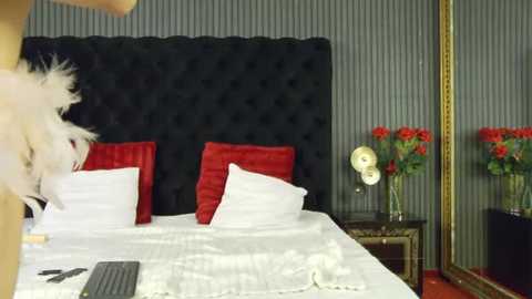 evebliss @ stripchat on 20260221