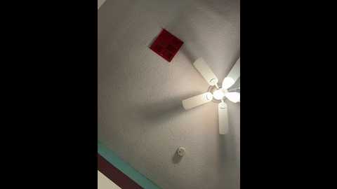 myhoneyfrida @ stripchat on 20260221