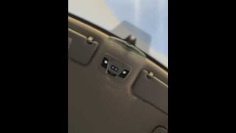 myrtle_beach @ stripchat on 20260221