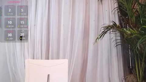 neinei_bao @ stripchat on 20260221