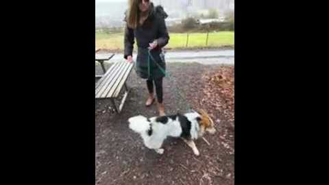 squirtingcouple9094 @ stripchat on 20260221