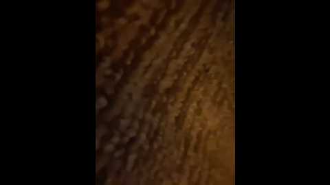 starbvnny @ stripchat on 20260221