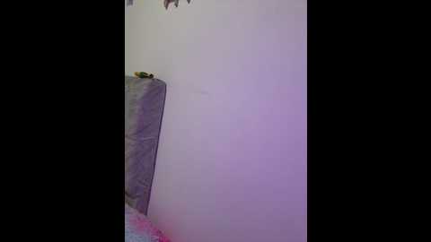 tuli_aily @ stripchat on 20260221