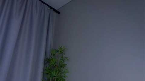 aftonconnett @ stripchat on 20260222