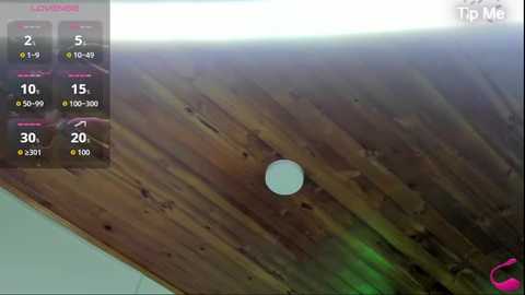 aysha_winxs @ stripchat on 20260222