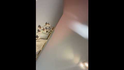 irish_collins @ stripchat on 20260222