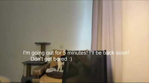 janellecourville @ stripchat on 20260222