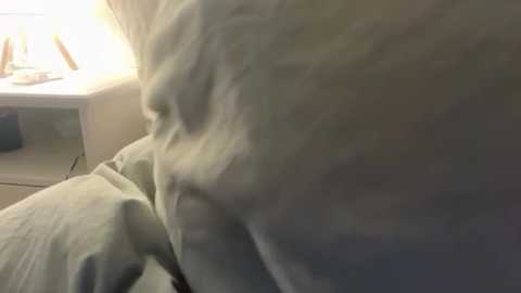 lucyschickt @ stripchat on 20260222