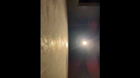 newlale @ stripchat on 20260222