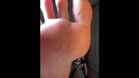 oliviaafischer @ stripchat on 20260222