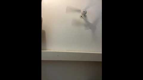 aicouple @ stripchat on 20260223