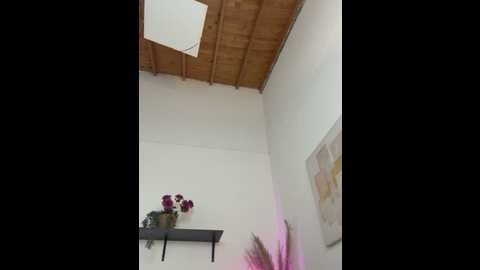 alessiavallmont @ stripchat on 20260223