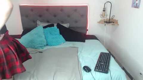 cherry_darck @ stripchat on 20260223