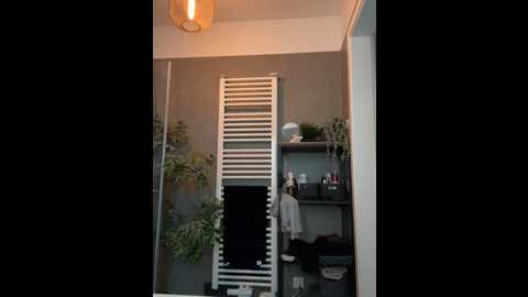 elenascrib @ stripchat on 20260223