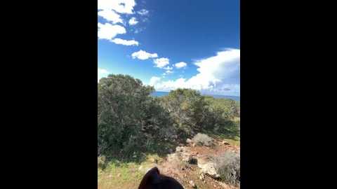 inked_lorena @ stripchat on 20260223