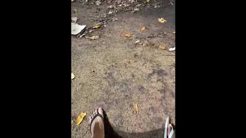 joel852 @ stripchat on 20260223