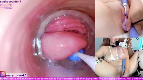 marybrook1 @ stripchat on 20260223