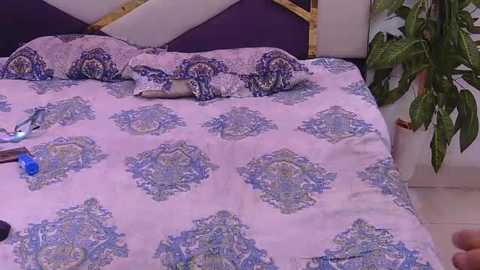 new_married_couple88 @ stripchat on 20260223